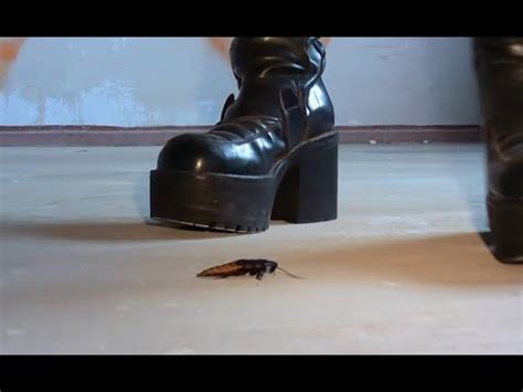 N Bug Crush Teaser Platform Boots And Cockroaches Youtube