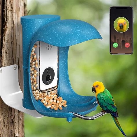 Amazefun Smart Bird Feeder With Camera Ai Recognition And Automatic