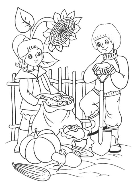 Free printable vegetable coloring pages for kids 1. Coloring page - Harvest vegetables