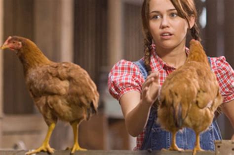 Why Miley Cyrus Isnt Counting Her Chickens Berkshire Live