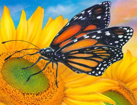 Sunflower Painting Butterfly Painting Sunflower Art Jason Fetko
