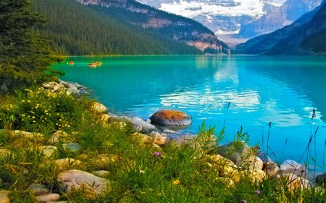 Turquoise Blue Lake Green Grass Flowers Stones Wallpapers Hd