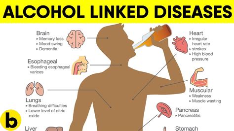 Alcohol Can Cause These 5 Serious Diseases Youtube