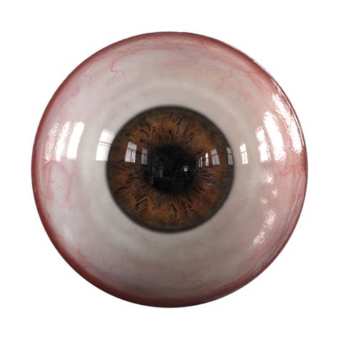 3d Human Realistic Eye Pupil Model Turbosquid 1645566