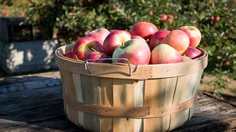 reWorking Michigan: Fall Apple Tradition Hit Hard | WKAR
