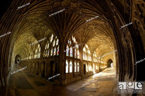 14th Century Fan Vaulting In The Great Cloisters Gloucester Cathedral
