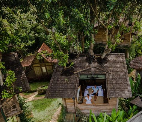 top 5 tree house hotels in bali bamboo houses bali buddies