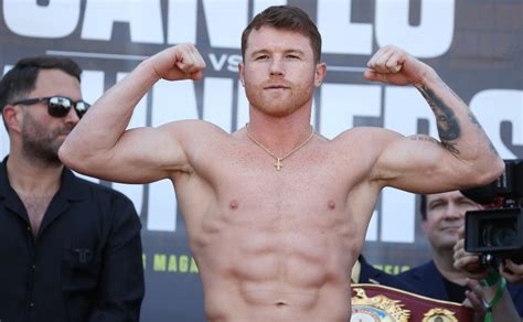 Canelo Alvarezs Profile Age Height Weight Wife Parents Boxing