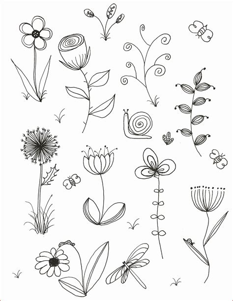 Flower Girl Coloring Books Lovely Flower Drawing Easy To Draw Spring