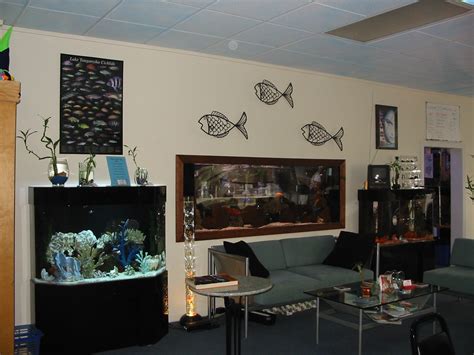 Reasons for owning an aquarium. 47+ Wallpaper Stores Near Me on WallpaperSafari