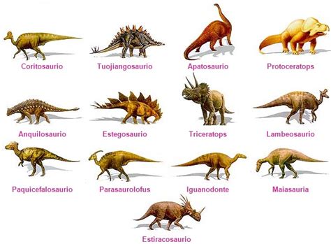 Imágenes De Tipos De Dinosaurios Imágenes