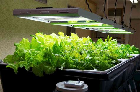 Diy Inexpensive Grow Light For Indoor Plants Growing Vegetables