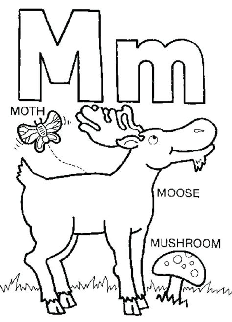 Moose Face Drawing at GetDrawings | Free download