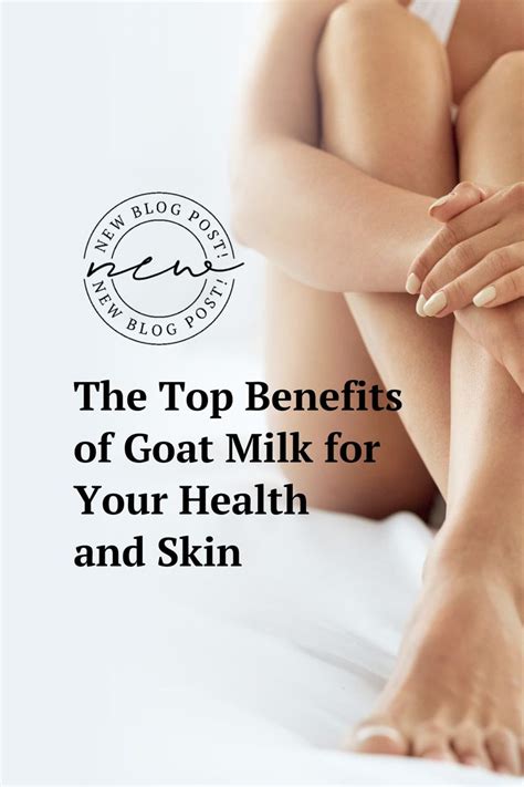 the top benefits of goat milk for your health and skin goats milk lotion goat milk goat milk