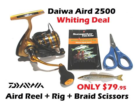Daiwa Aird 2500 Fathers Day Whiting Deal Reel Whiting Rig Braid