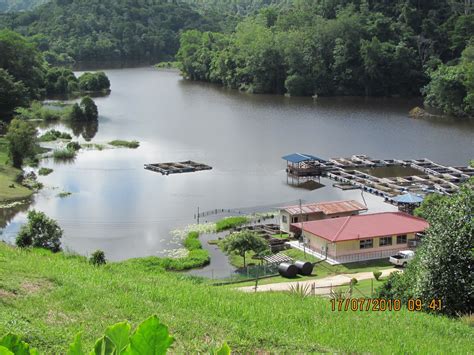 ‏تاسيق چيني‎‎) salah satu tasik daripada 12 tasik yang berdekatan dengan sungai pahang di pahang tengah, malaysia. JEJAK LANGKAH: TASIK BUYUT, LAGENDA YANG DILUPAKAN