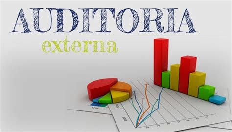 Auditoria Externa Riset