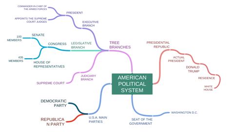 American Political System Tree Branches Legislative Branch Congress