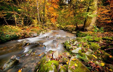 Wallpaper Autumn Forest River Images For Desktop Section пейзажи