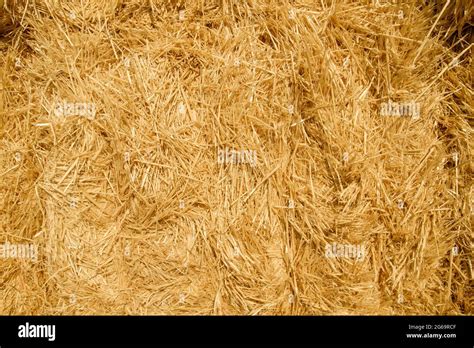 Detai Of Hay Bale Texture Stock Photo Alamy