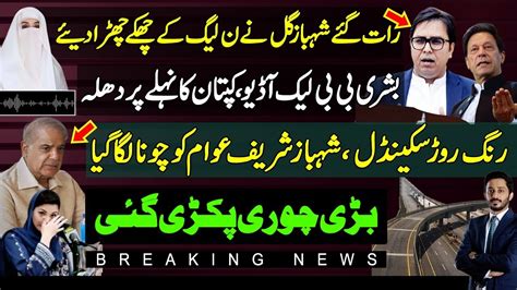 Wow Shehbaz Gill Smashed Pmlnatta Tararbushra Bibi Audioimran Khan