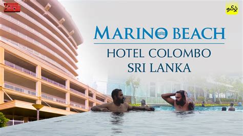 Luxury Hotel Stay In Sri Lanka Marino Beach Hotel Infinity Pool