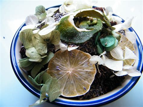 The flowers are fragrant and are 13. Ten uses for dried lavender | Dried Flower Craft