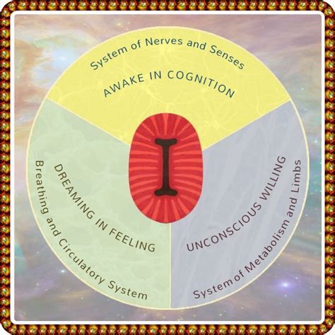 Three States Of Human Consciousness