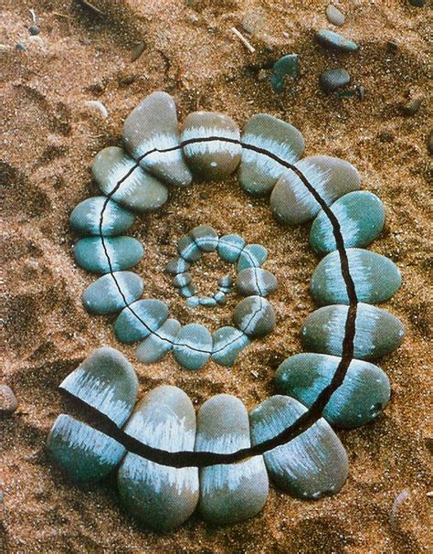 Lesson Idea Intro To Andy Goldsworthy Create Art In Nature Using Natural Materials For Older