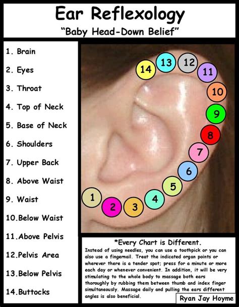 Reflexology Ear Chart Ear Reflexology Reflexology Reflexology Massage