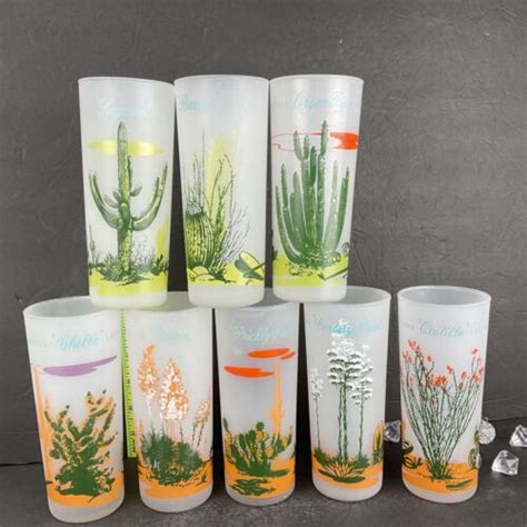 Vintage Blakely Oil And Gas Arizona Cactus Frosted Glasses Tumblers Set Of 8 Ebay