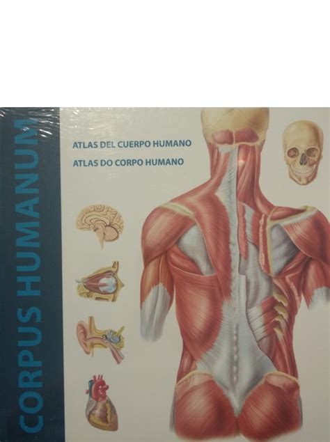 Corpus Humanum Atlas Del Cuerpo Humano Atlas Do Corpo Humano