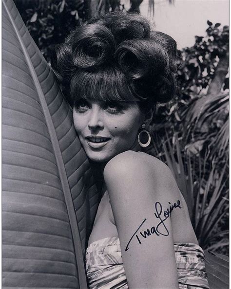 Tina Louise Beautiful Redhead Ginger 50s Glamorous Portrait Photos