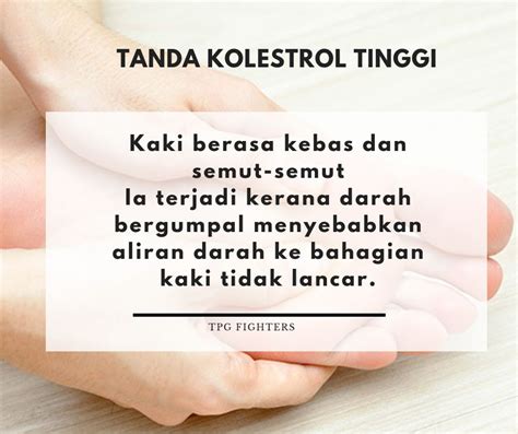 Kolesterol tinggi adalah kondisi kadar kolesterol yang melebihi batas normal dalam tubuh seseorang. Tanda-tanda Awal Anda Mempunyai Kolesterol Tinggi ~ Shima ...