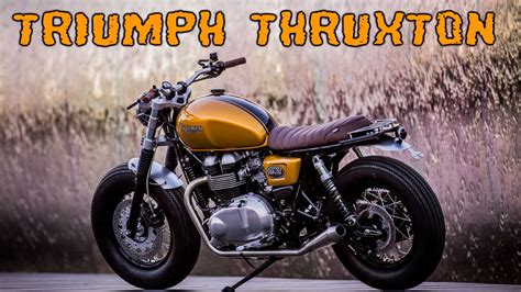 Triumph Thruxton Custom Youtube