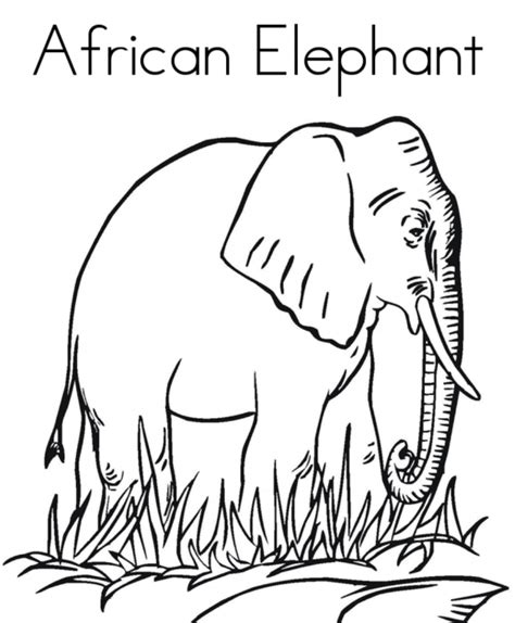 Africa Coloring Pages Coloring Home