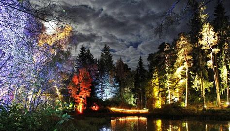 Enchanted Forest Pitlochry Tickets