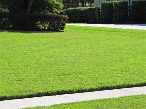 Zoysia Grass Maintenance Tampa Green Solutions Lawn Caregreen