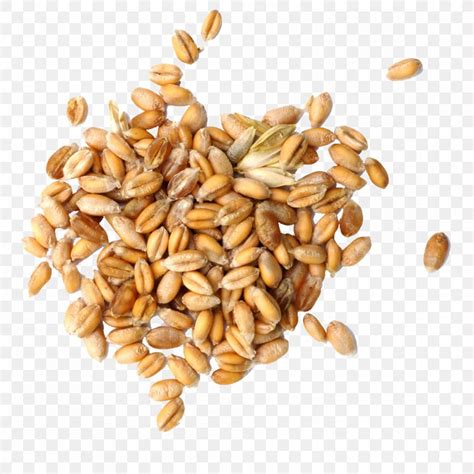 Cereal Germ Wheat Grain Png 1000x1000px Cereal Caryopsis Cereal