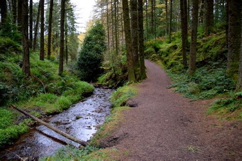 Stream And Path Gortin Glens Forest © Kenneth Allen Geograph Ireland