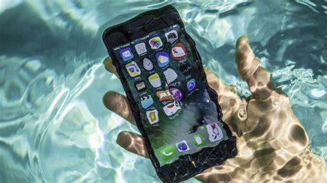 Comment réparer son iPhone tombé dans l'eau ? Mon Réparateur - Rennes