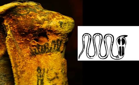 Elaborately Tattooed Mummy Brings Archeologists To Tears Cbc News