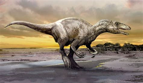 Descubren en la patagonia dinosaurio parecido al t.rex. Weekend | Descubren un dinosaurio carnívoro gigante en Neuquén