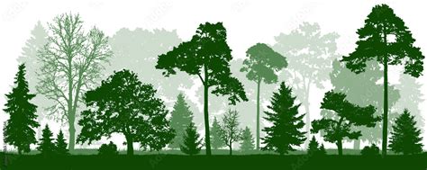 Forest Green Trees Silhouette Nature Park Landscape Isolated