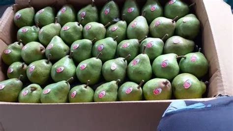 Light Green A Grade Fresh Pears Fruit Packaging Size 25 Kg At Rs 1000pack In Pathankot