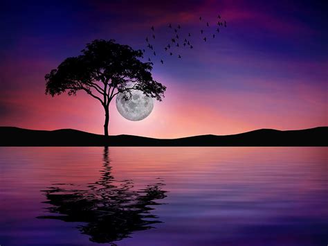 Night Reflection Water Nature Darkness The Night Full Moon Lake