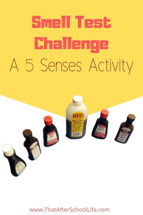 Smell Test Challenge A 5 Senses Activity That After School Life