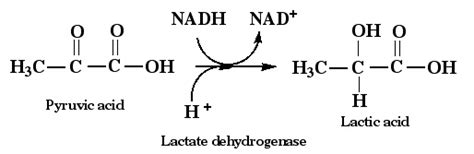 For example, lactic acid is a food additive that helps control the ph (acid or lye) of food, extend shelf life and prevent your food from spoiling. Nutritional Biochemistry: 08 Alcohol: the good, the bad ...