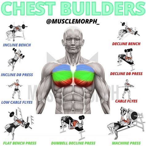 Build A Colossal Chest With This Exercise Workout That Takes Under Minutes To Do