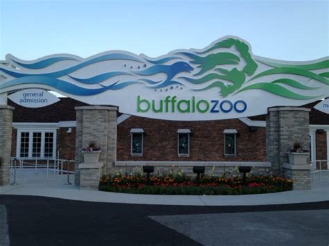 Buffalos Zoo Is One Of The Oldest In The Us Heres What Makes It